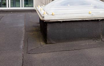 disadvantages of Prince Royd flat roofs